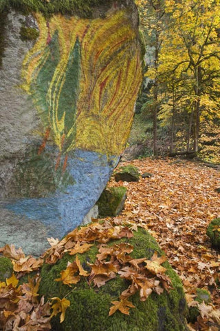 OR, Lake Creek Painted boulder and forest trail Black Ornate Wood Framed Art Print with Double Matting by Paulson, Don