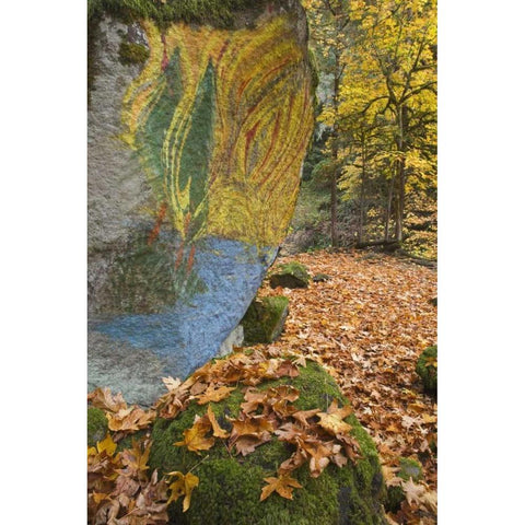 OR, Lake Creek Painted boulder and forest trail Black Modern Wood Framed Art Print by Paulson, Don
