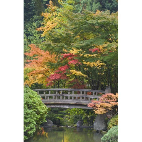 Oregon, Portland Wooden bridge over pond White Modern Wood Framed Art Print by Paulson, Don