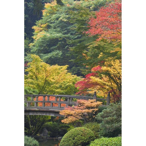 Oregon, Portland Wooden bridge over pond White Modern Wood Framed Art Print by Paulson, Don