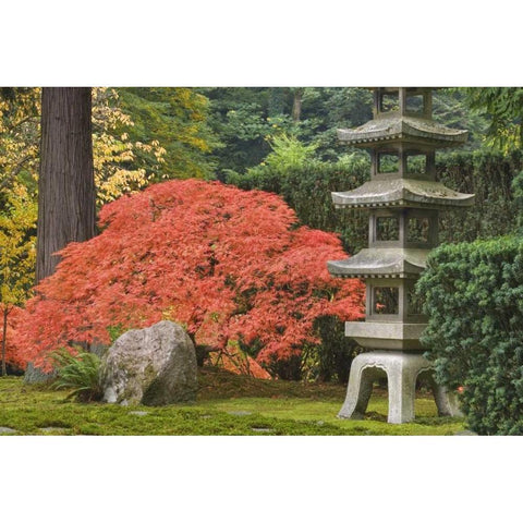 Oregon, Portland Stone tower and Japanese maple Black Modern Wood Framed Art Print by Paulson, Don