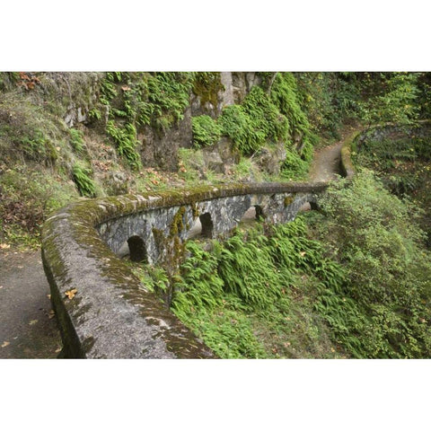 OR, Columbia Gorge Stone wall next to trail Gold Ornate Wood Framed Art Print with Double Matting by Paulson, Don