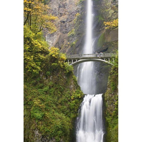 OR, Columbia Gorge Bridge by Multnomah Falls Black Modern Wood Framed Art Print by Paulson, Don