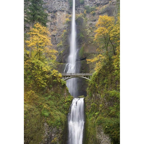 OR, Columbia Gorge Bridge by Multnomah Falls Black Modern Wood Framed Art Print by Paulson, Don