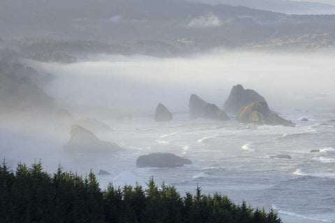 Oregon, Gold Beach Foggy morning on seashore Black Ornate Wood Framed Art Print with Double Matting by Kaveney, Wendy