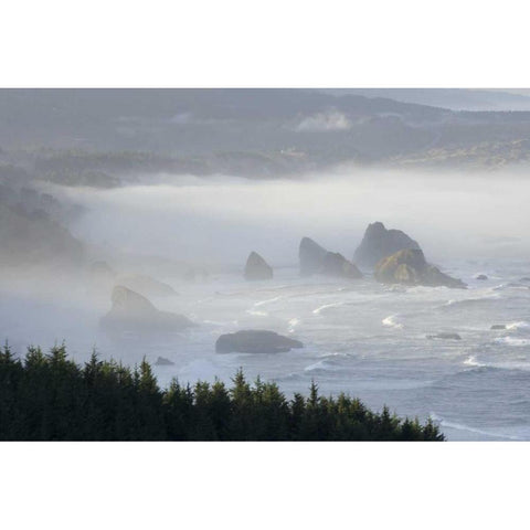 Oregon, Gold Beach Foggy morning on seashore Black Modern Wood Framed Art Print by Kaveney, Wendy