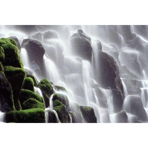 OR, Ramona Falls Waterfall cascades down a cliff White Modern Wood Framed Art Print by Satushek, Steve