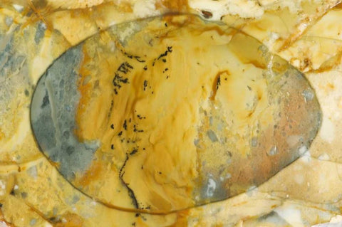 Oregon, Owyhee River Valley Morrisonite Jasper White Modern Wood Framed Art Print with Double Matting by Kirkland, Dennis