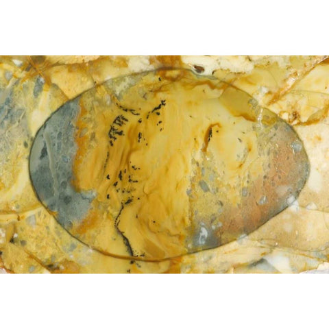 Oregon, Owyhee River Valley Morrisonite Jasper Black Modern Wood Framed Art Print by Kirkland, Dennis