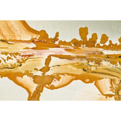 Oregon Close-up of Owyhee Picture Jasper stone White Modern Wood Framed Art Print by Kirkland, Dennis