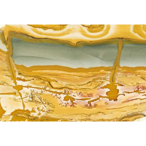 Oregon Close-up of Owyhee Picture Jasper stone Black Modern Wood Framed Art Print by Kirkland, Dennis
