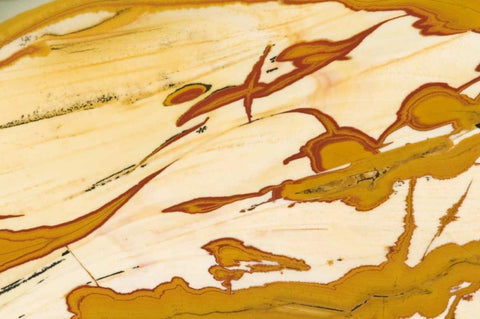 Oregon Close-up of Owyhee Picture Jasper stone White Modern Wood Framed Art Print with Double Matting by Kirkland, Dennis
