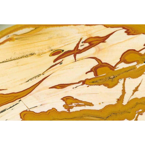 Oregon Close-up of Owyhee Picture Jasper stone White Modern Wood Framed Art Print by Kirkland, Dennis