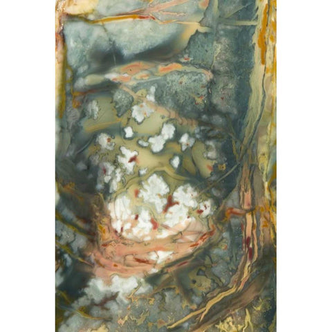 Oregon, Owyhee River Valley Morrisonite Jasper Black Modern Wood Framed Art Print by Kirkland, Dennis