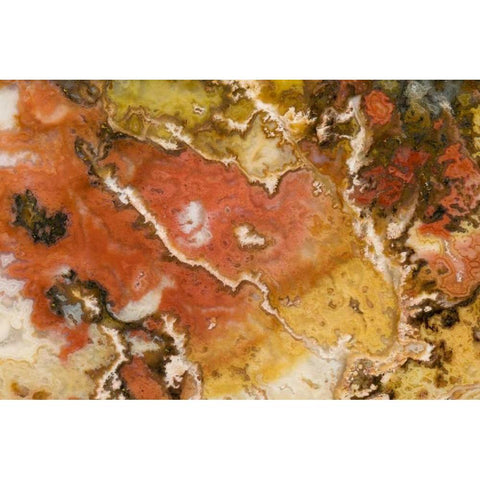 Oregon Graveyard Point Plume Agate stone Black Modern Wood Framed Art Print by Kirkland, Dennis