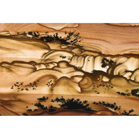 Oregon Close-up of Biggs Picture Jasper stone Gold Ornate Wood Framed Art Print with Double Matting by Kirkland, Dennis