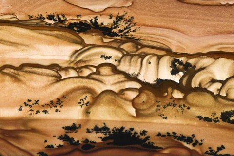Oregon Close-up of Biggs Picture Jasper stone White Modern Wood Framed Art Print with Double Matting by Kirkland, Dennis