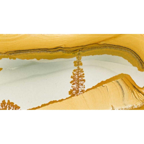 Oregon Close-up of Owyhee Picture Jasper stone Gold Ornate Wood Framed Art Print with Double Matting by Kirkland, Dennis