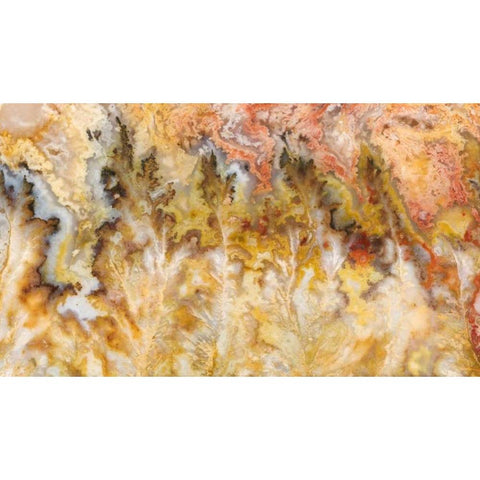 Oregon Graveyard Point Plume Agate stone White Modern Wood Framed Art Print by Kirkland, Dennis