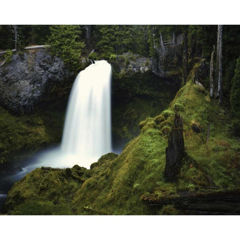 OR, Cascades Waterfall on the McKenzie River Black Modern Wood Framed Art Print with Double Matting by Flaherty, Dennis