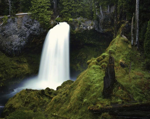 OR, Cascades Waterfall on the McKenzie River White Modern Wood Framed Art Print with Double Matting by Flaherty, Dennis