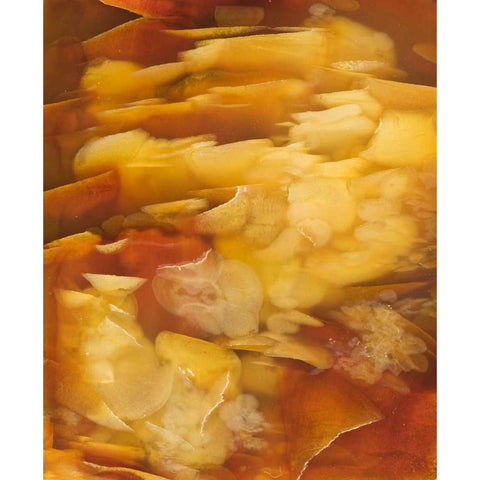 USA, Oregon Close-up of red flake agate stone Gold Ornate Wood Framed Art Print with Double Matting by Kirkland, Dennis