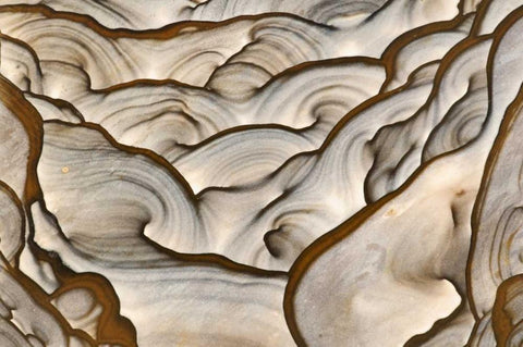 Oregon, Biggs Close-up of picture jasper stone Black Ornate Wood Framed Art Print with Double Matting by Kirkland, Dennis