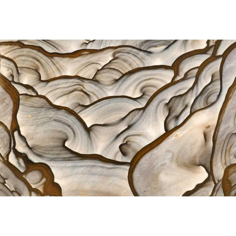 Oregon, Biggs Close-up of picture jasper stone Gold Ornate Wood Framed Art Print with Double Matting by Kirkland, Dennis