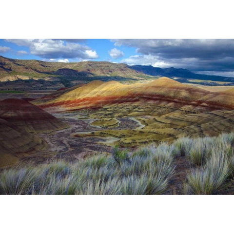 Oregon, John Day Fossil Beds NM, Painted Hills Gold Ornate Wood Framed Art Print with Double Matting by Carter, Jean