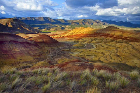 OR, John Day Fossil Beds NM, Painted Hills Unit White Modern Wood Framed Art Print with Double Matting by Carter, Jean