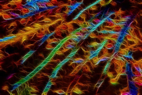 OR, Bandon Abstract of Pacific sea kelp White Modern Wood Framed Art Print with Double Matting by Carter, Jean