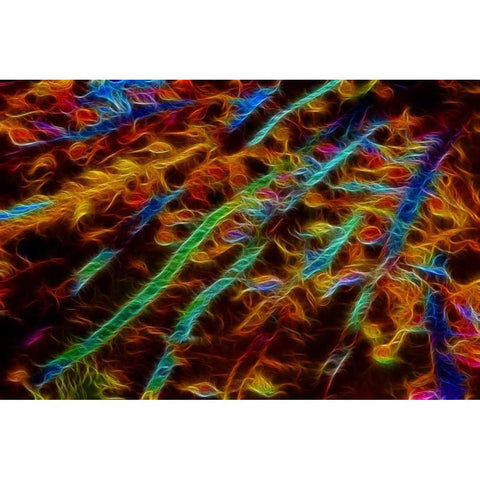 OR, Bandon Abstract of Pacific sea kelp White Modern Wood Framed Art Print by Carter, Jean