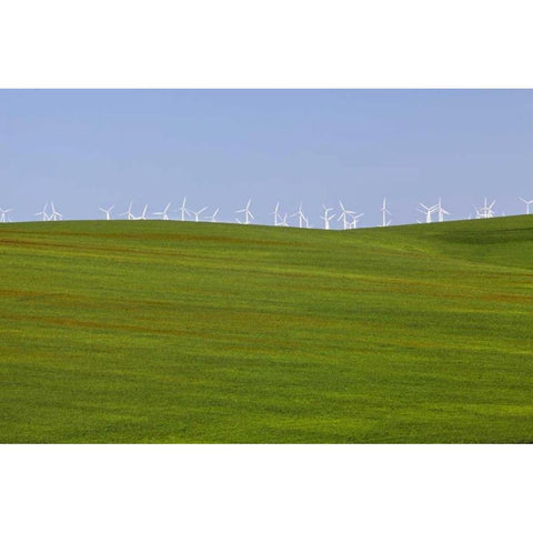 OR, Wasco Wind turbines on verdant farm field Black Modern Wood Framed Art Print by Paulson, Don