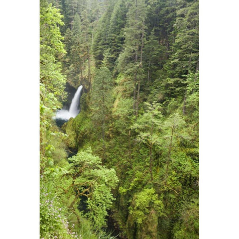 OR, Columbia Gorge Metlako Falls Black Modern Wood Framed Art Print by Paulson, Don