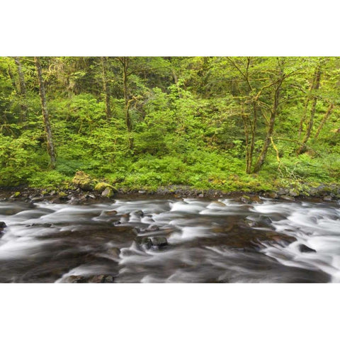 Oregon, Columbia River Gorge Tanner Creek Black Modern Wood Framed Art Print with Double Matting by Paulson, Don