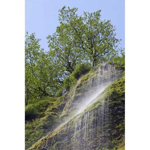 OR, Columbia Gorge Waterfall flowing from cliff White Modern Wood Framed Art Print by Paulson, Don