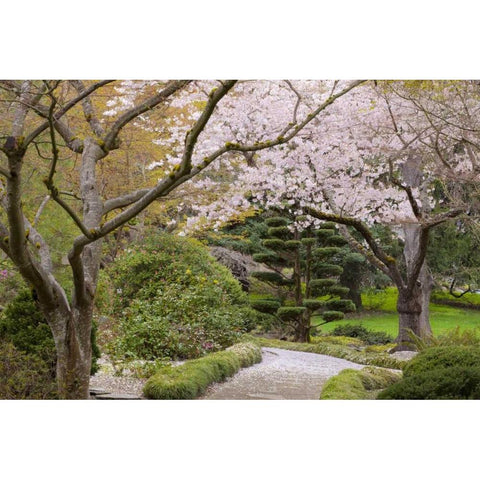 Oregon, Ashland Spring scenic in Lithia Park Black Modern Wood Framed Art Print with Double Matting by Paulson, Don