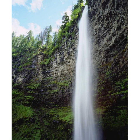 USA, Oregon, A waterfall in an old-growth forest Black Modern Wood Framed Art Print with Double Matting by Talbot Frank, Christopher