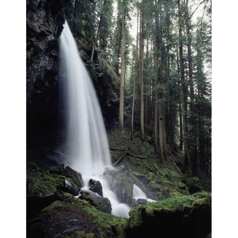 USA, Oregon, A waterfall in an old-growth forest Black Modern Wood Framed Art Print by Talbot Frank, Christopher