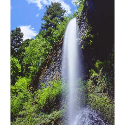 Oregon, A waterfall in the mountains White Modern Wood Framed Art Print by Talbot Frank, Christopher