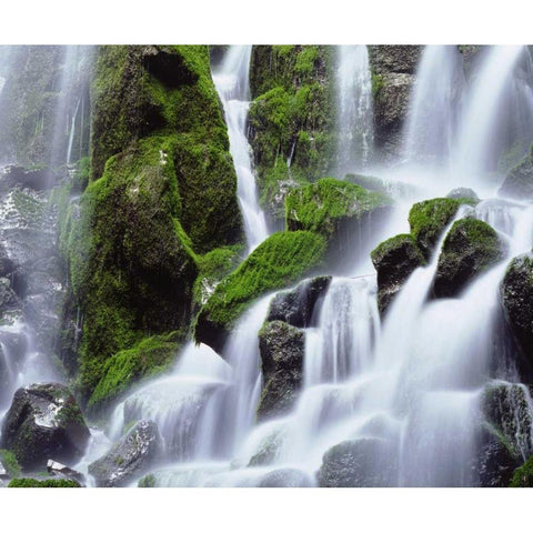 USA, Oregon, Mount Hood, Ramona Falls Black Modern Wood Framed Art Print by Talbot Frank, Christopher
