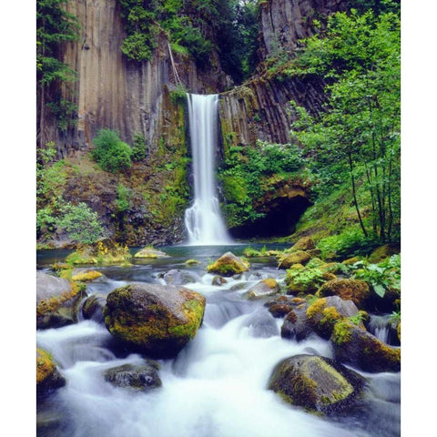 Oregon, Toketee Waterfall and Basalt Formation Black Modern Wood Framed Art Print with Double Matting by Talbot Frank, Christopher