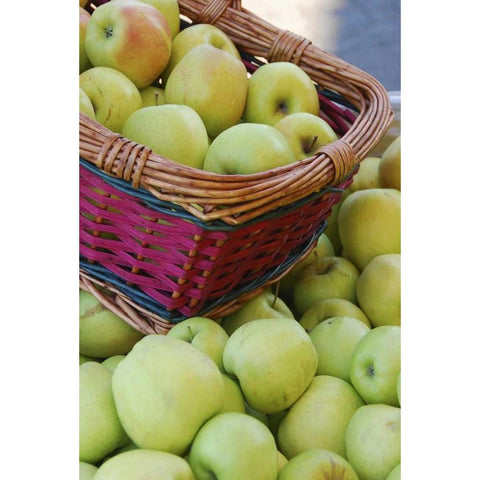 OR, Hood River Valley Basket of green apples Black Modern Wood Framed Art Print with Double Matting by Terrill, Steve