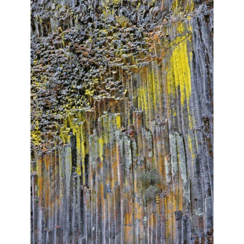 OR, Columnar basalt covered with lichen Black Modern Wood Framed Art Print with Double Matting by Terrill, Steve