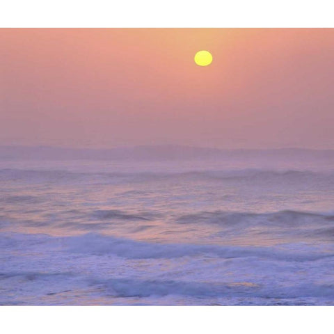 USA, Oregon Sun setting over the Pacific Ocean Black Modern Wood Framed Art Print with Double Matting by Terrill, Steve