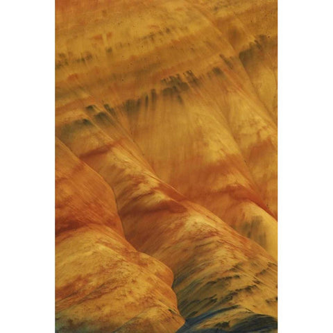 Oregon, John Day Fossil Beds NM Painted Hills Black Modern Wood Framed Art Print by Terrill, Steve