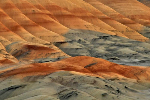 Oregon, John Day Fossil Beds NM Painted Hills Black Ornate Wood Framed Art Print with Double Matting by Terrill, Steve