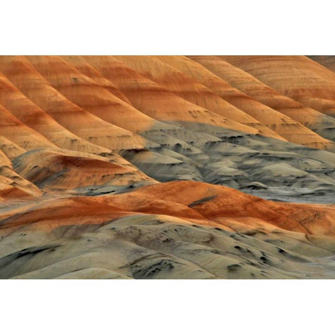 Oregon, John Day Fossil Beds NM Painted Hills Gold Ornate Wood Framed Art Print with Double Matting by Terrill, Steve
