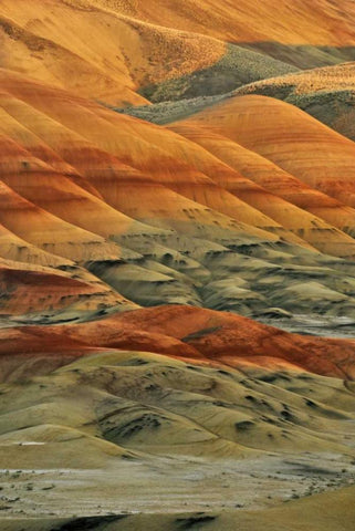 Oregon, John Day Fossil Beds NM Painted Hills Black Ornate Wood Framed Art Print with Double Matting by Terrill, Steve
