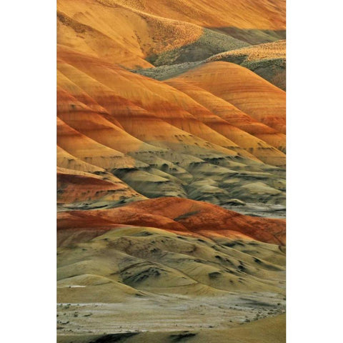 Oregon, John Day Fossil Beds NM Painted Hills Black Modern Wood Framed Art Print by Terrill, Steve